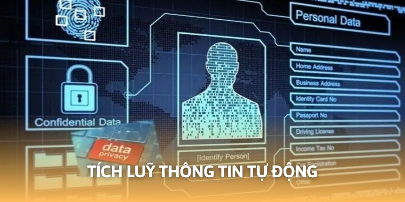 Nền tảng tích lũy thông tin theo hình thức tự động